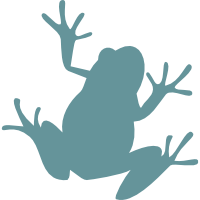 両生類