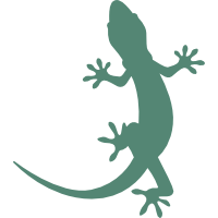 ヤモリ