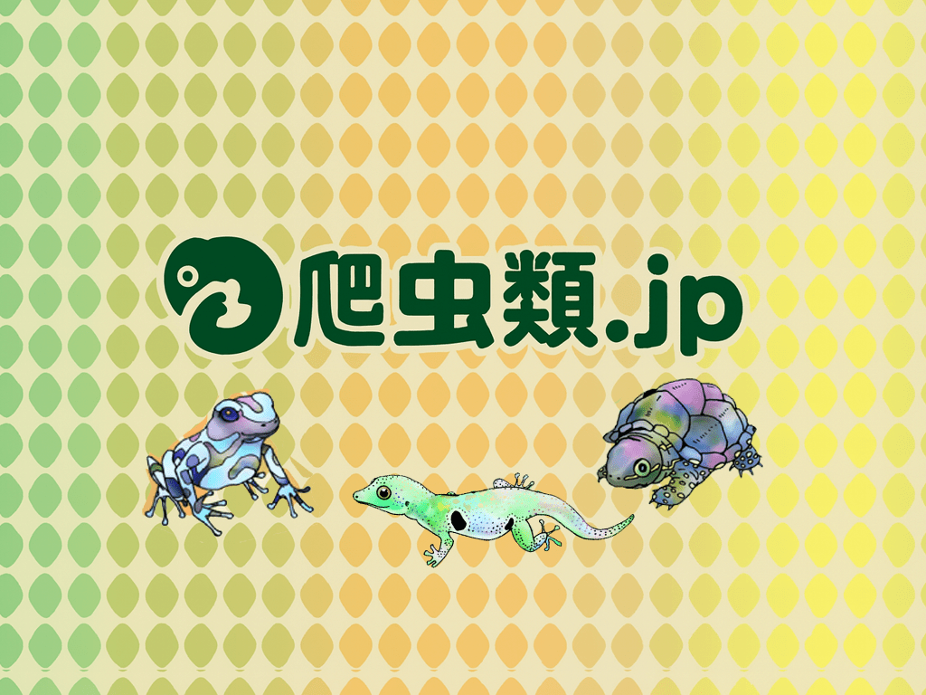 お問い合わせフォーム