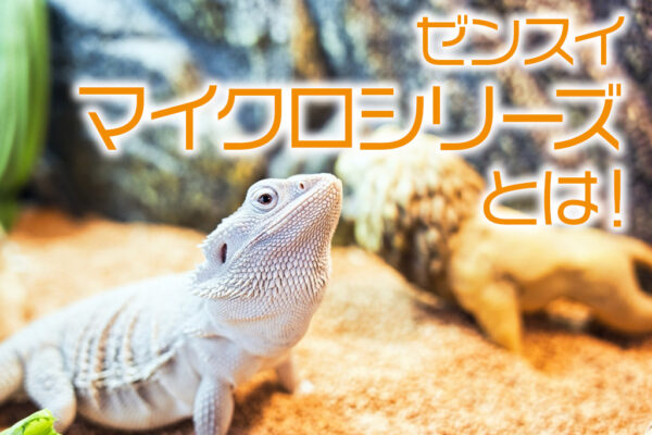 ゼンスイ・マイクロシリーズとは！爬虫類用照明の選び方とメリットを解説