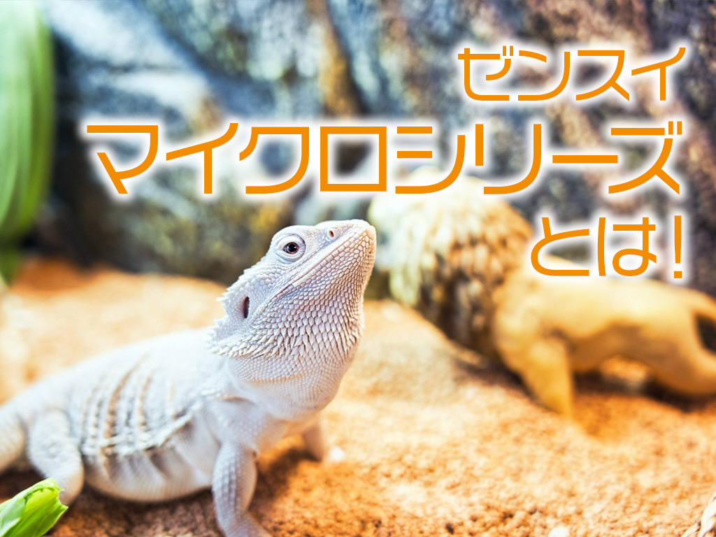 ゼンスイ・マイクロシリーズとは！爬虫類用照明の選び方とメリットを解説