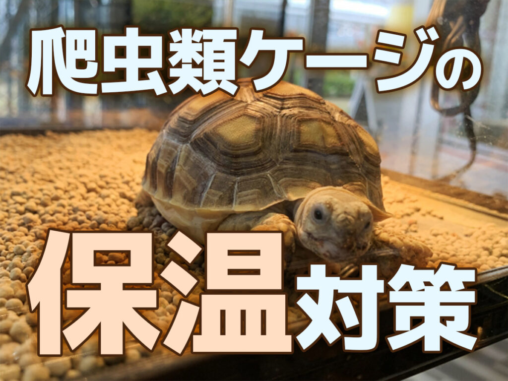 爬虫類ケージの保温完全ガイド！初心者でも失敗しない温度管理と機材選び