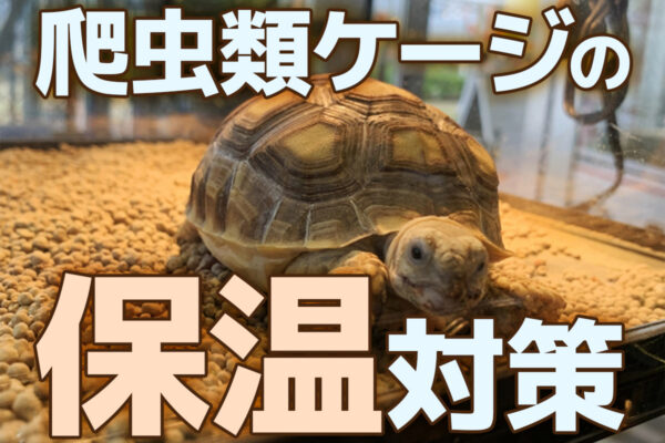 爬虫類ケージの保温完全ガイド！初心者でも失敗しない温度管理と機材選び
