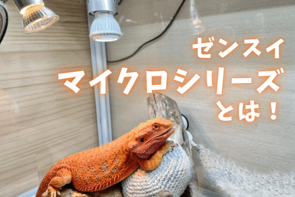 ゼンスイのマイクロサンとは！爬虫類用照明の選び方とメリット、設置方法