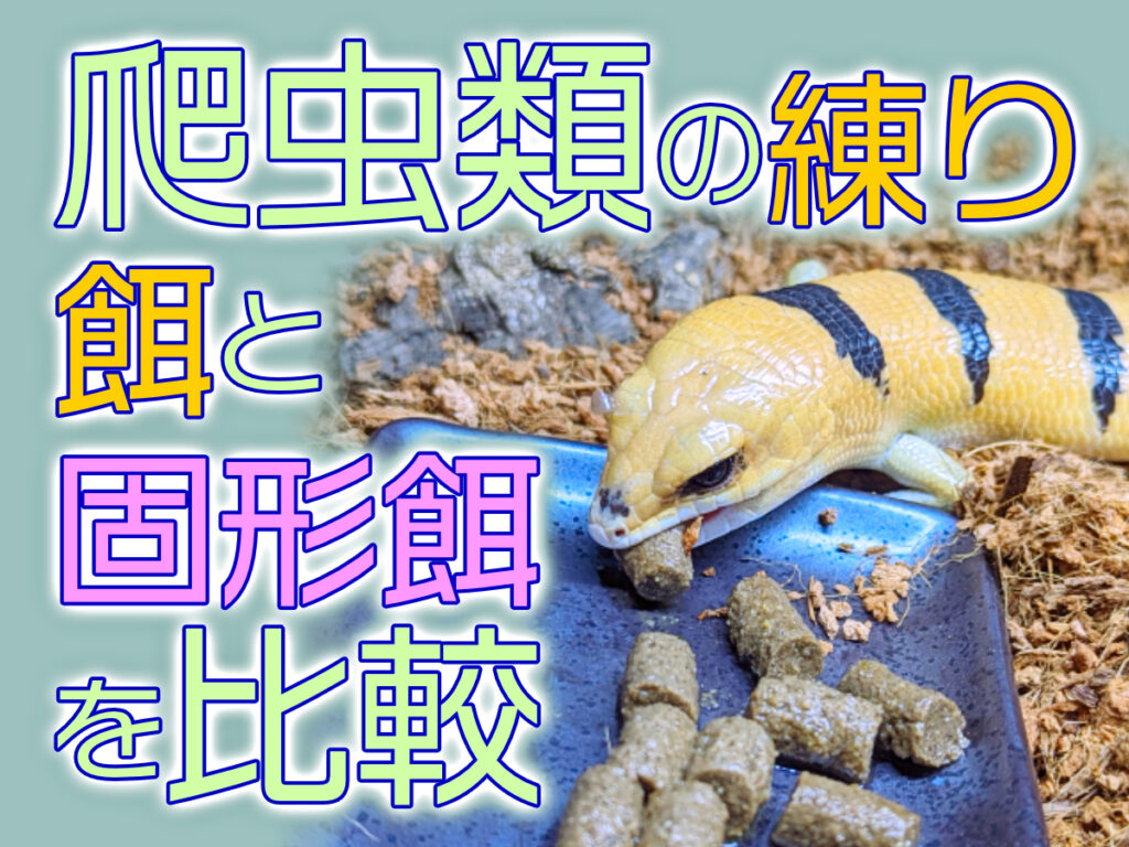 爬虫類の練り餌と固形餌を比較！メリット・デメリット、おすすめ餌6選