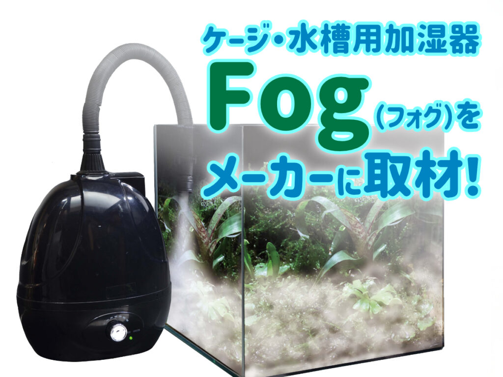 ゼンスイのFog（フォグ）とは！画期的なケージ加湿器をメーカーに取材