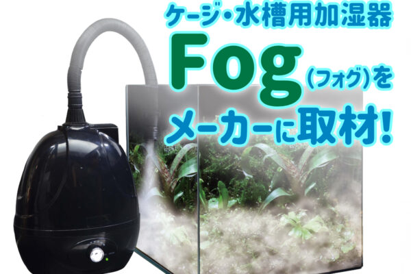 ゼンスイのFog（フォグ）とは！画期的なケージ加湿器をメーカーに取材