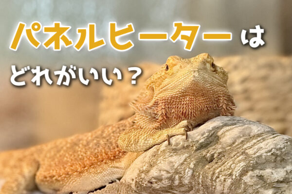 爬虫類のパネルヒーターはどれがいい？おすすめ6選！使い方も解説！