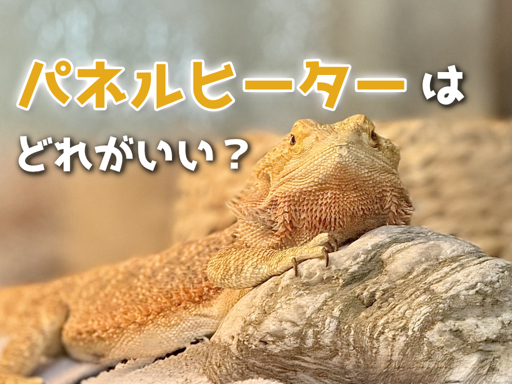 爬虫類のパネルヒーターはどれがいい？おすすめ6選！使い方も解説！